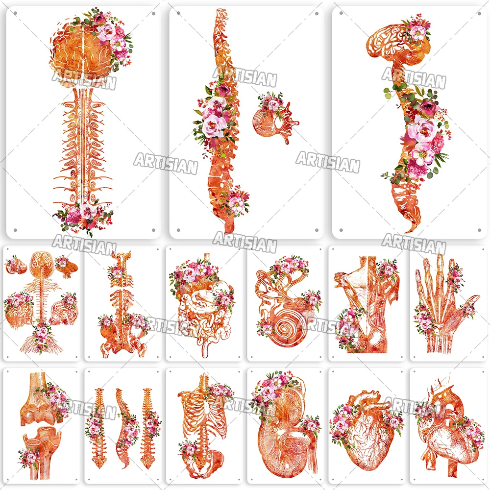 Artisian Anatomy Metal Poster Medical Tin Sign Hospital Decorative Plaque Clinic Organ Dentisit Wall Decor Garage Bar Pub Club