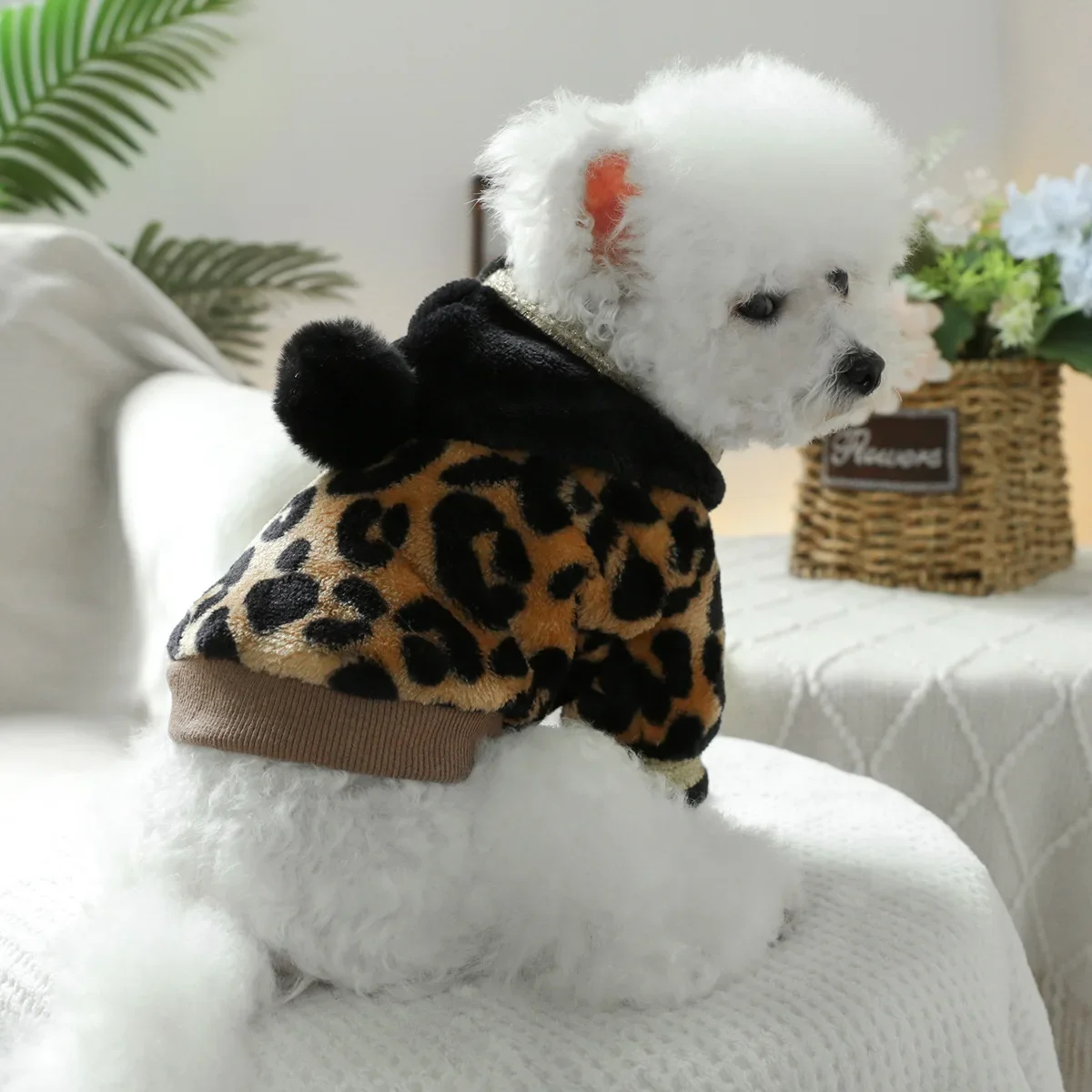 Pet Autumn and Winter Hooded Ball Hoodie Cat Clothing Leopard Print Flannel Hoodie Dog Outdoor Warm Coat Designer Dog Clothes