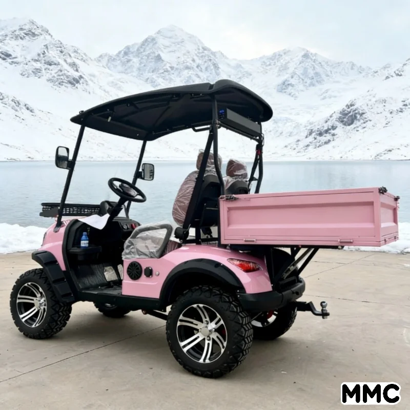 بيع المصنع مباشرة من MMC: عربة جولف ذات بطارية ليثيوم منخفضة السرعة بمقعدين #2
