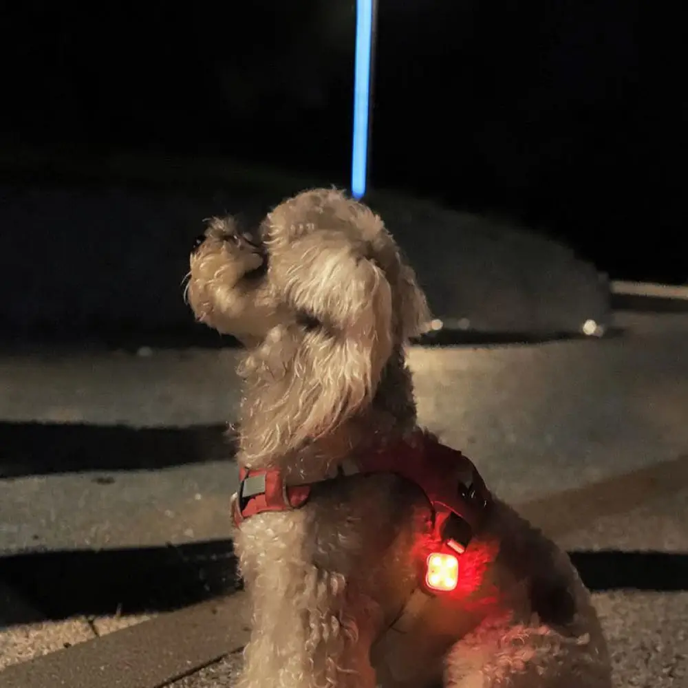 Outdoor LED Dog Safety Pendant Night Walking Glow Tag Collar Decoration Flashing Marker For Small Large Pets