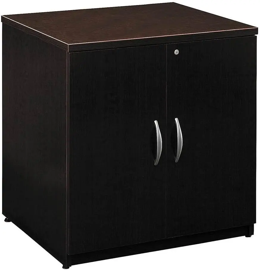 

C Storage Cabinet with Doors in Mocha Cherry, 2 Door Accent Chest for Home and Professional Office