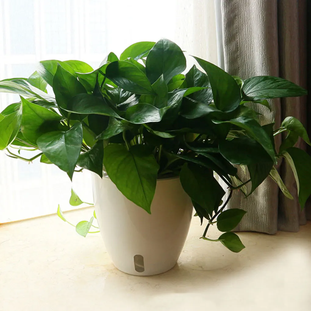 Eco-friendly Self Watering Plant Pot For Enhancing Gardens Beauty Durable Flower Pots Innovative white 110（11*11cm）