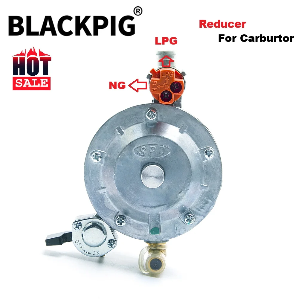 GT241 154F LPG Dual Fuel Carburetor Reducer Assy Gasolina Petrol Generator Parts