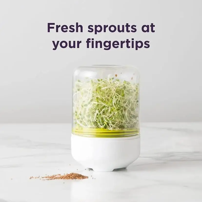 1 Pcs Countertop Sprouter Sprouts Growing Kit Reusable Household Kitchen Bean Plants Sprouting System Seeds Container Supplies