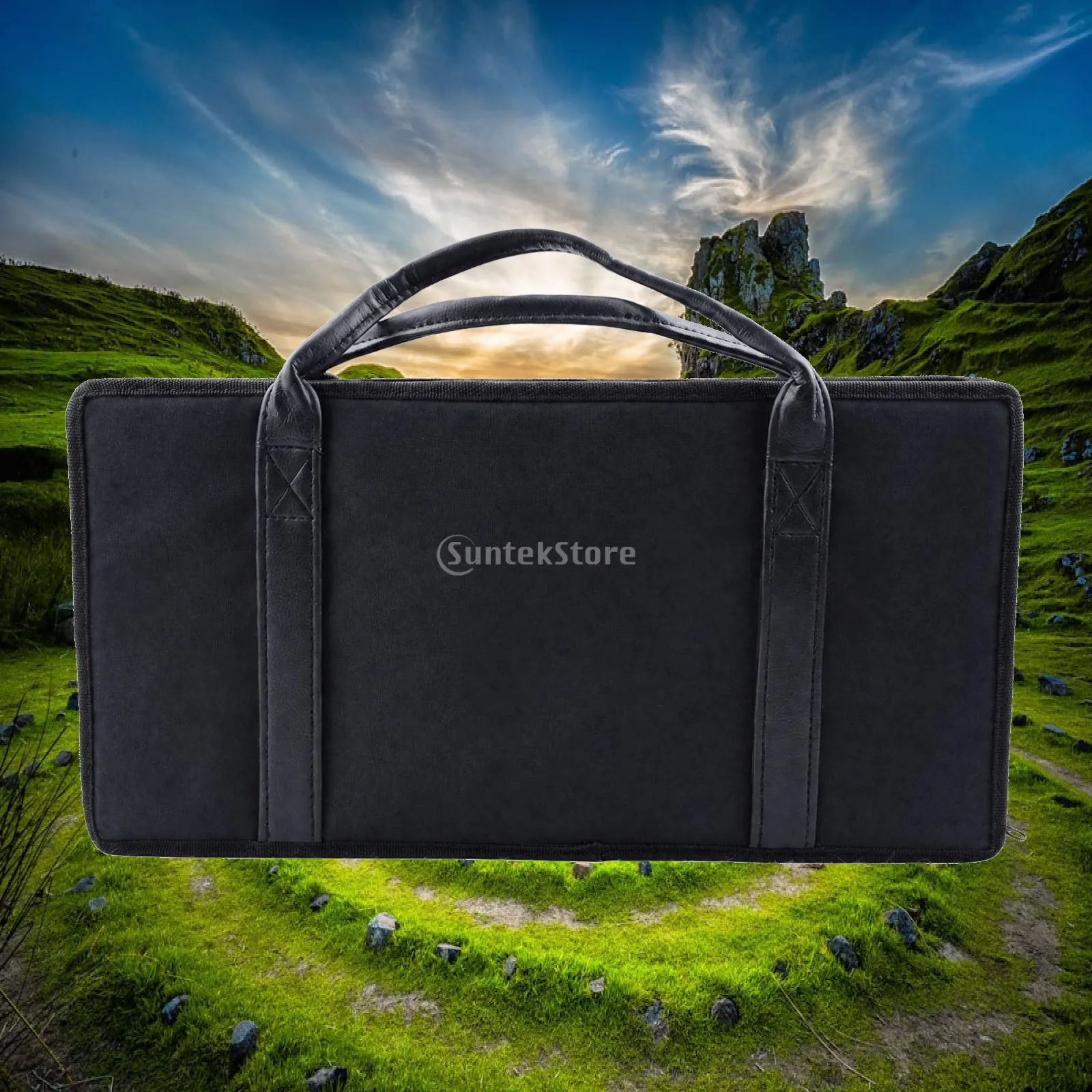 Harmonica Player Accessory Case for Diatonic Blues Harps Black Finish with Dual Handles and Padded Inner Compartments