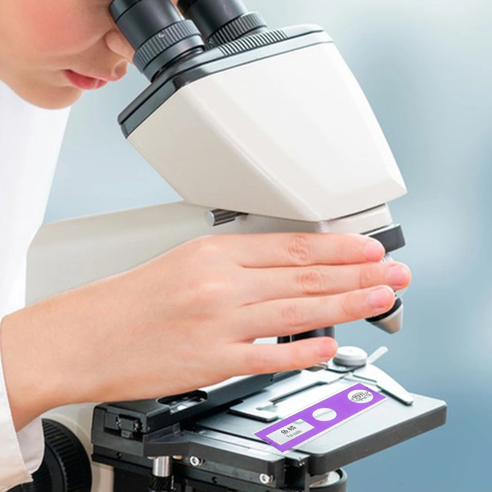 Set di 24 vetrini per microscopio per bambini, campioni biologici preparati per la scienza, piante, animali, fiori, scuola, casa, apprendimento