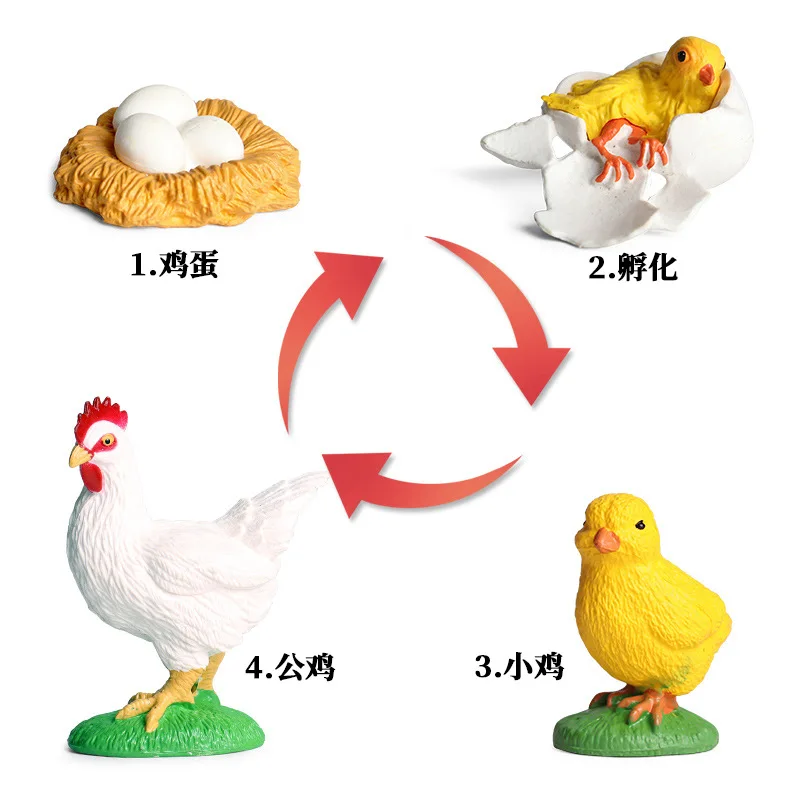 シミュレーション動物モデルミニ家禽動物昆虫カエルカメアリオンドリイナゴ昆虫の成長サイクルモンテッソーリ教材おもちゃ