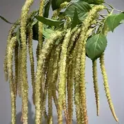 1Pcs Elegant High-Quality Artificial Hanging Vine Foam Berry Artificial Rubber Flower Decor Home Wedding Versatile Faux Floral