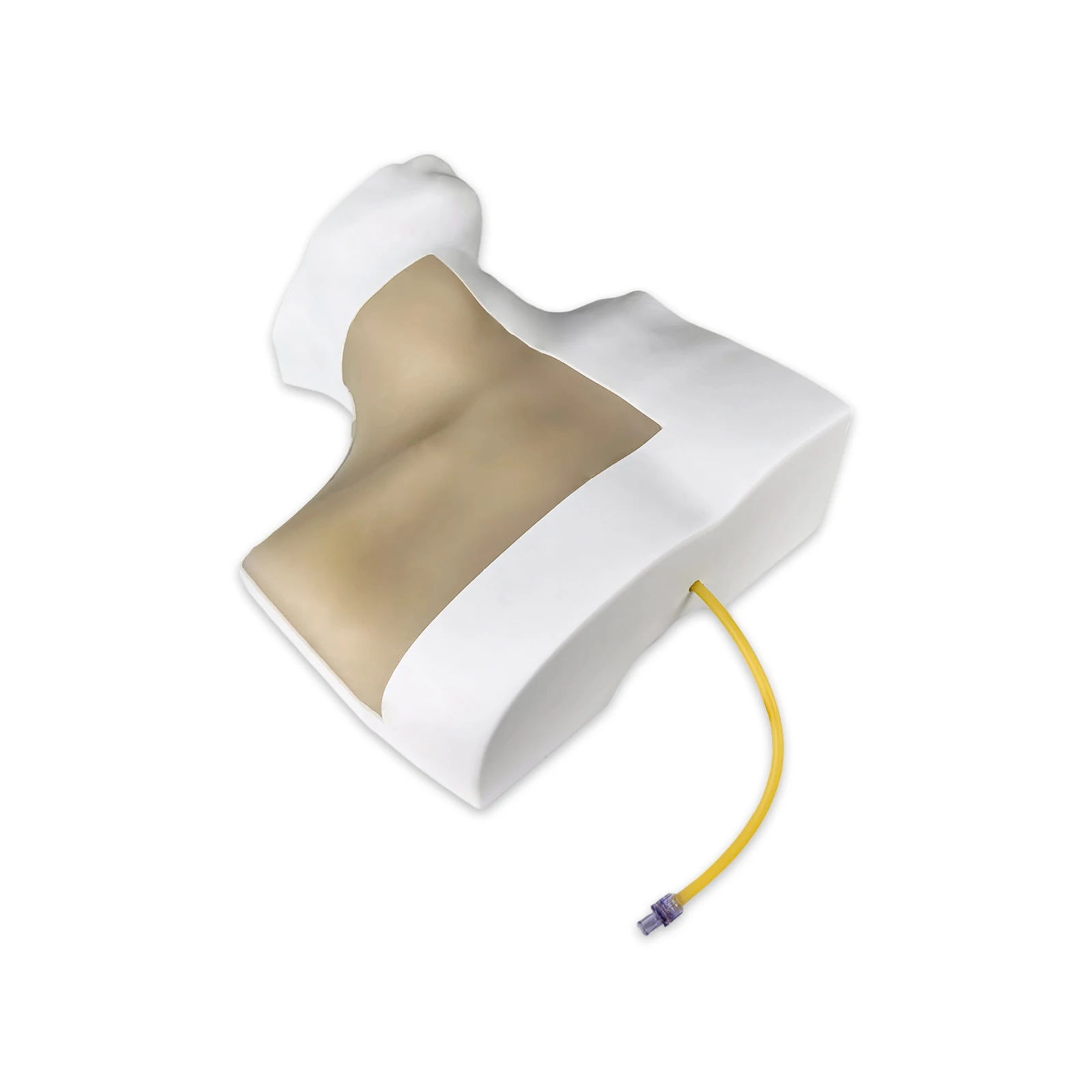 

Ultrasound-guided internal jugular vein puncture model, highly realistic and non-penetrating sound-absorbing material