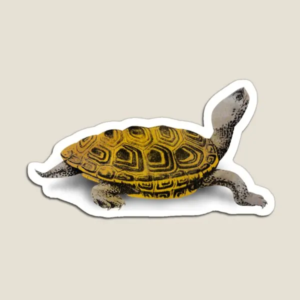 

Магнитный домашний магнитный холодильник Diamondback Terrapin для детской подставки красочный декоративный детский игрушечный Забавный милый