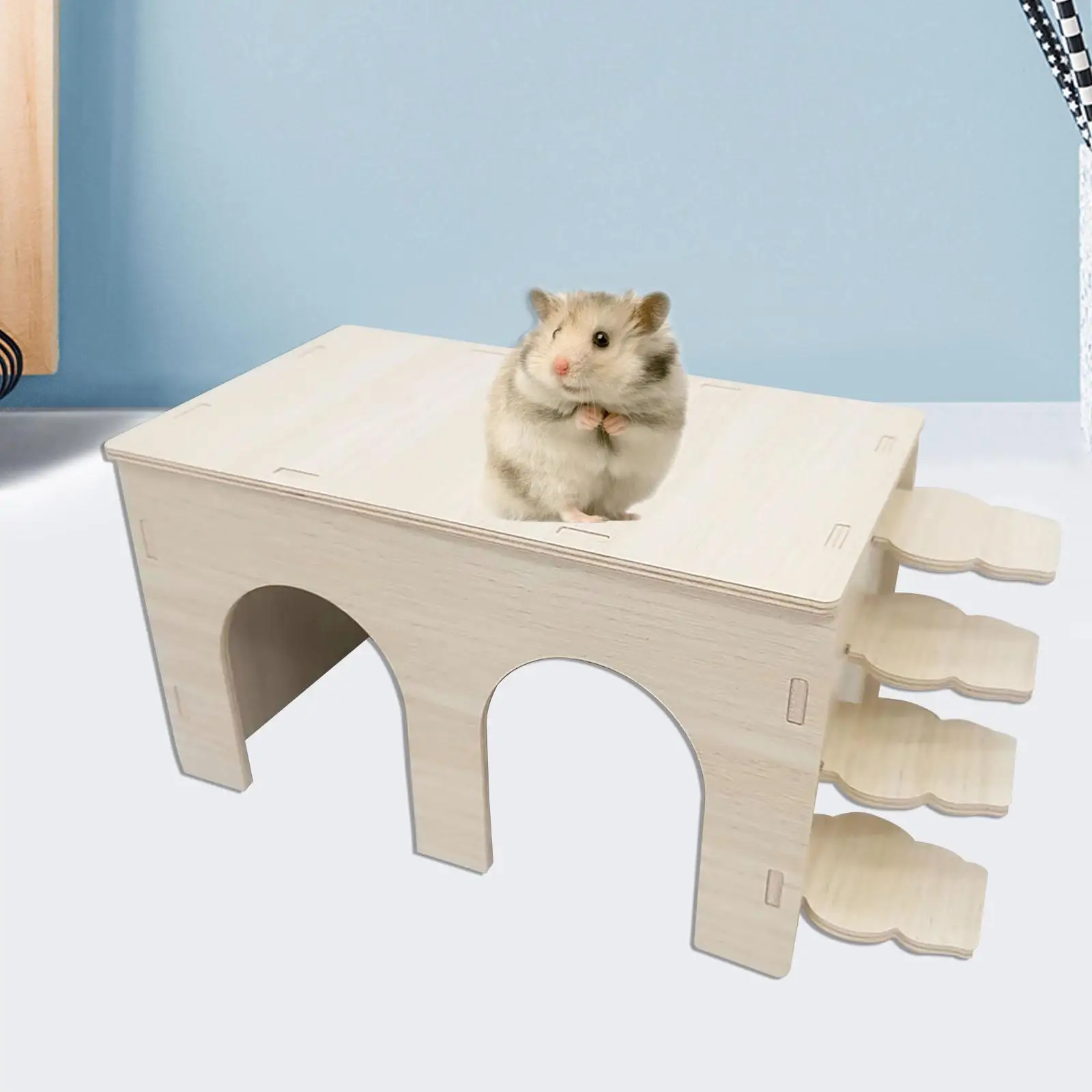 Hamster House Rest Easy to Assemble Habitat for Small Animals Mouse Hedgehog