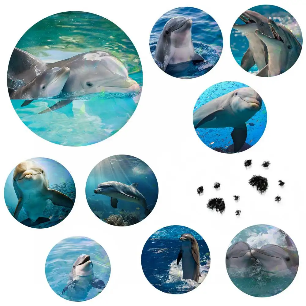 Colorful Ocean World Dolphin Round Badge Lapel Pin Backpack Clothing Jewelry Accessories Gift Brooch