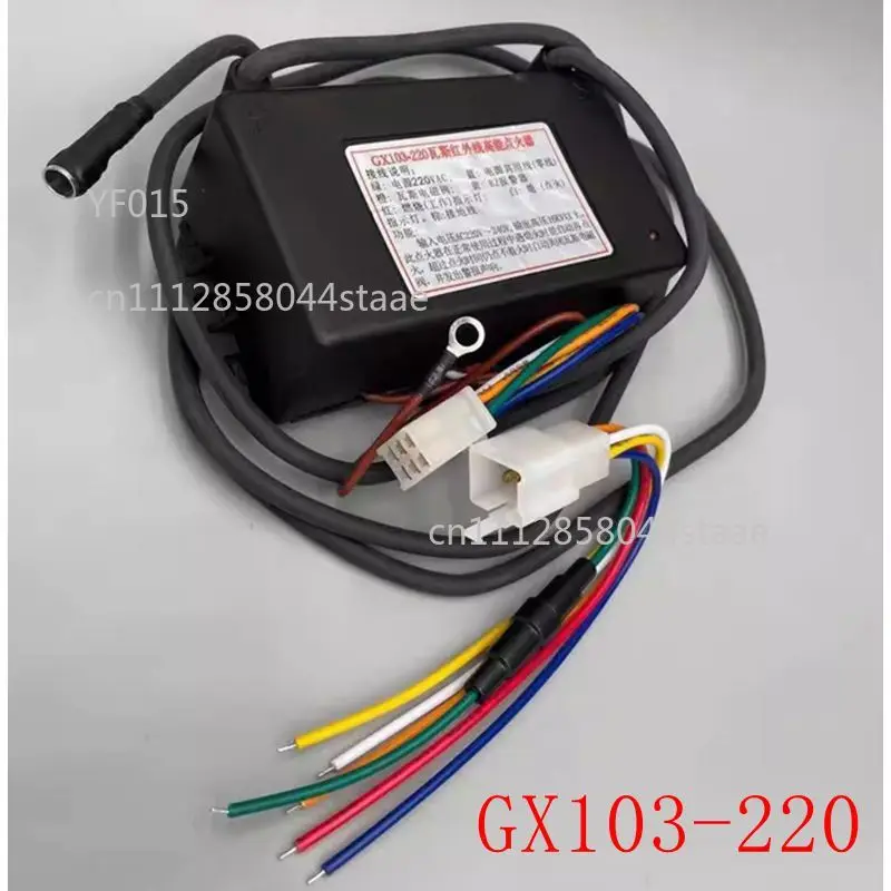 220V Pulse Ignition Controller With Ignition Needle For Natural Gas LPG Infrared Stove Burner