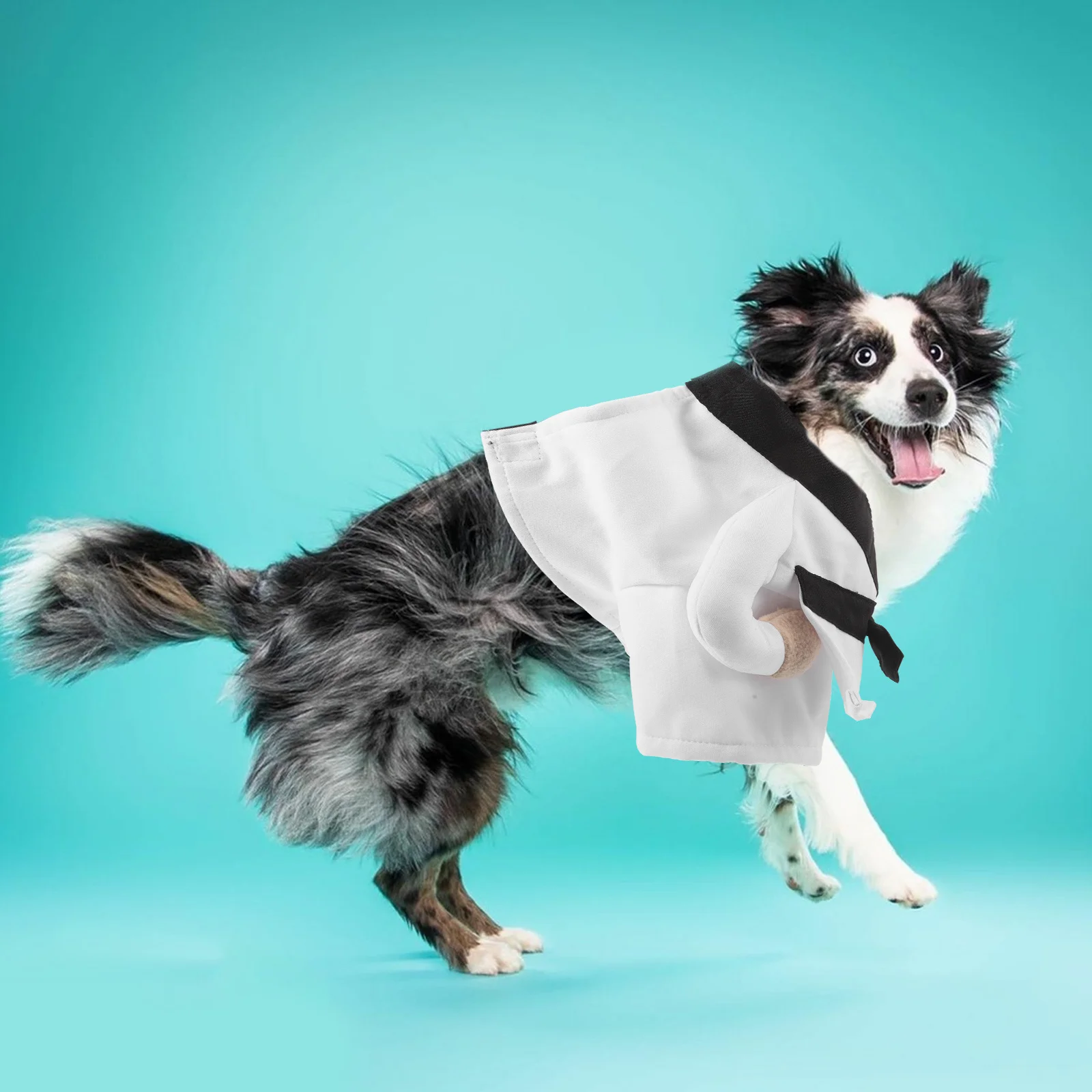 

Funny Dog Martial Arts Outfit Creative Pet Costume Ninja Dress Up Party Clothes Martial Arts Dog Costume Funny Clothes for Dogs