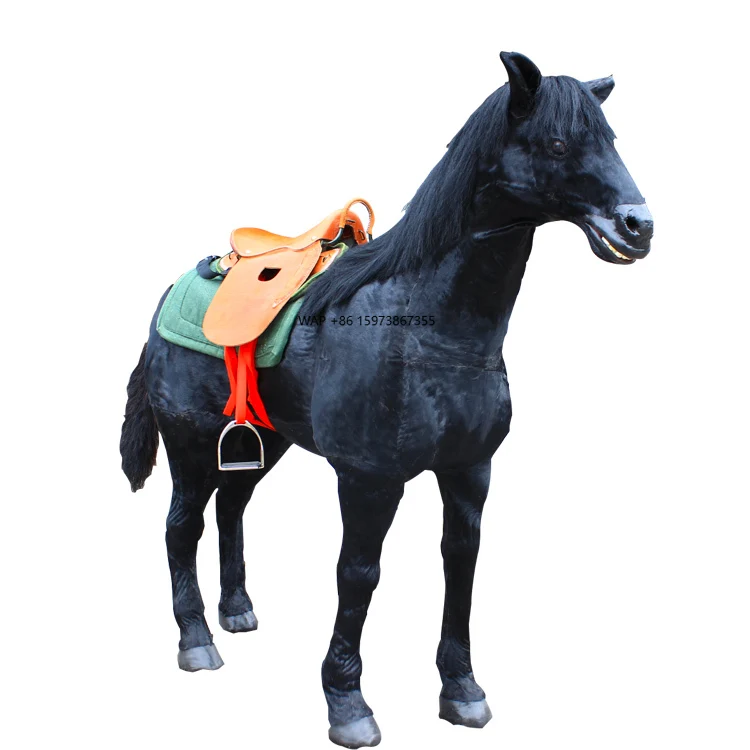 Export products Riding machines Walking machinery Horses for sale