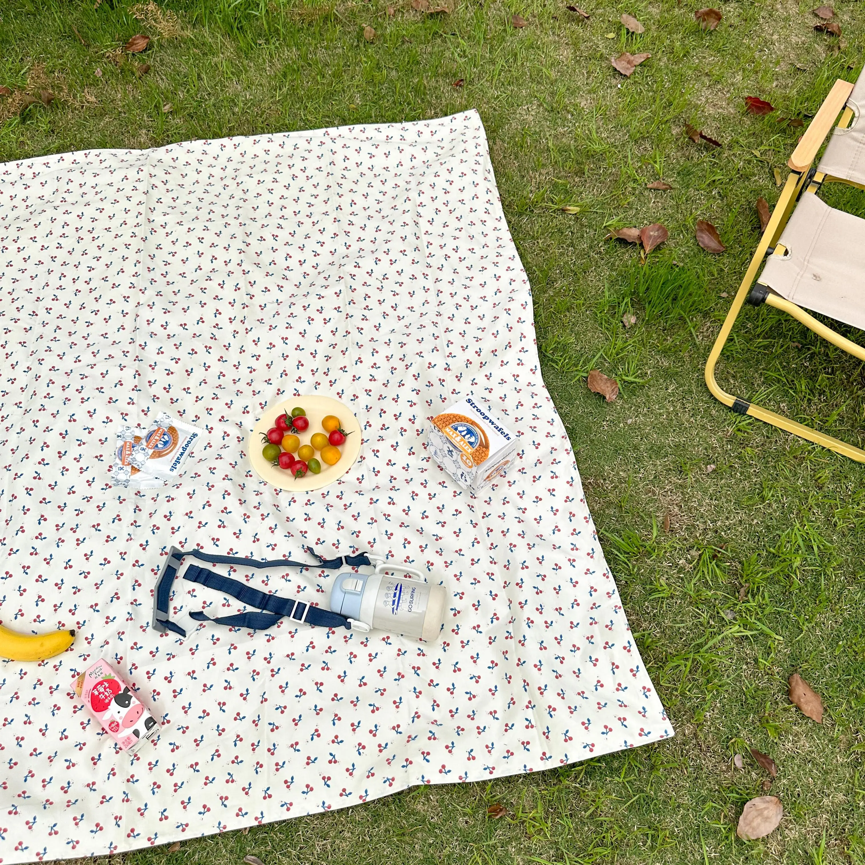 屋外ピクニックマットピンク花柄防湿マットポータブル大型キャン - Outdoor Camping Mats Large のレビューと価格