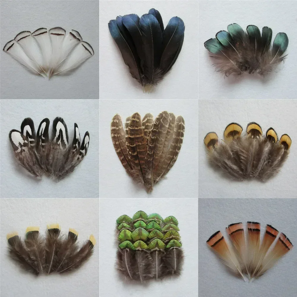 14 kind style select pure natural colour and lustre  pheasant feather DIY feather  earrings jewelry 50 pcs or 20pcs