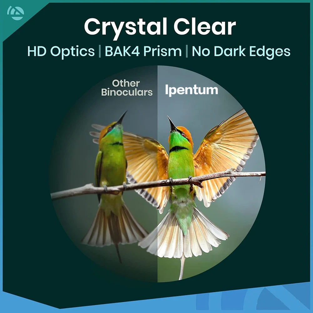 12x42 HD Profi-Fernglas mit HD-Linse, BAK4-Prisma, wasserdichtem Metallgehäuse für Vogelbeobachtung, Jagd, Camping, Reisen und Outdoor-Aktivitäten – Detail 14