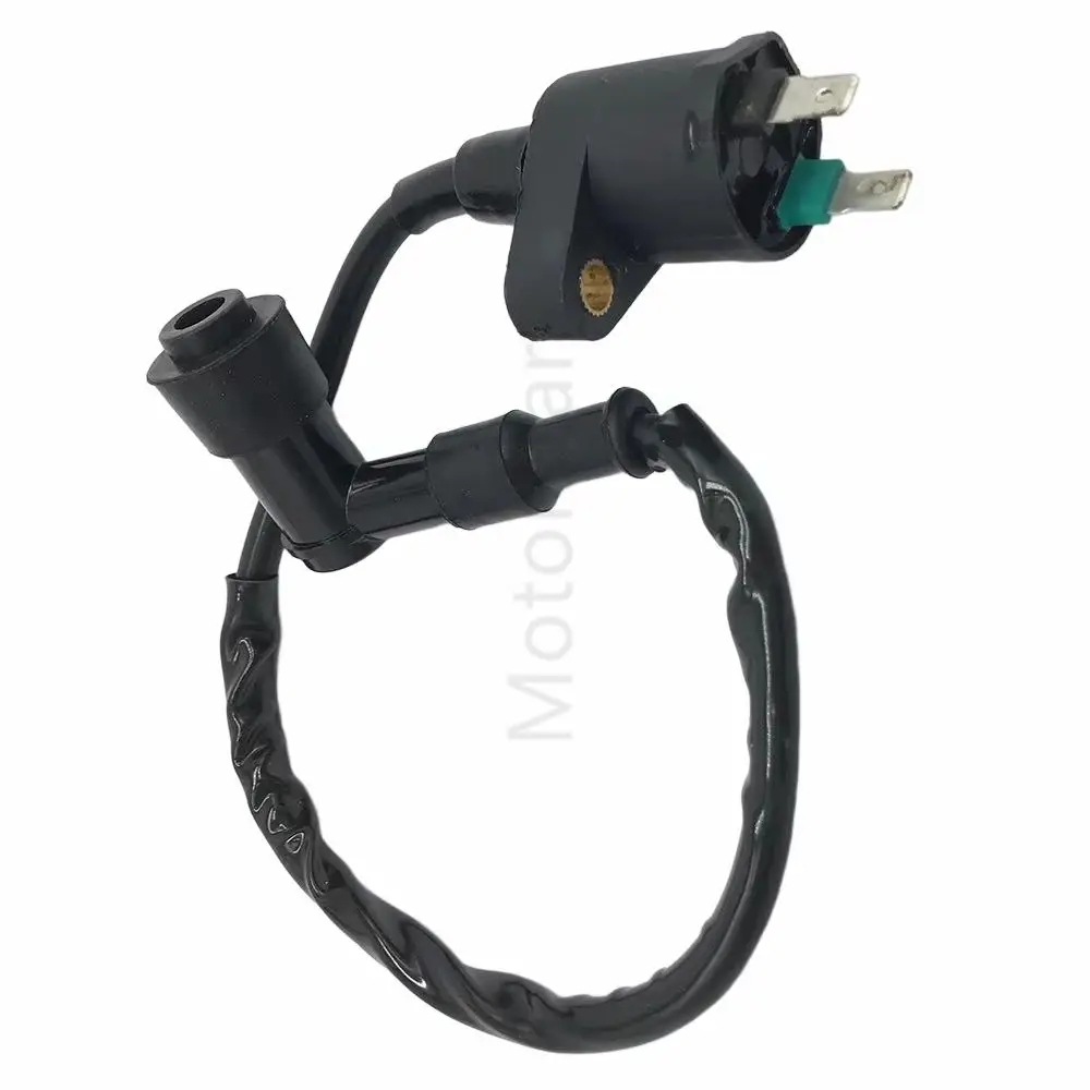 Ignition Coil Fits For Sachs Bee Eagle Splinter Speedjet Reggae Speedforce Limbo Swing Squab SR 50 80 49er 125 Samba