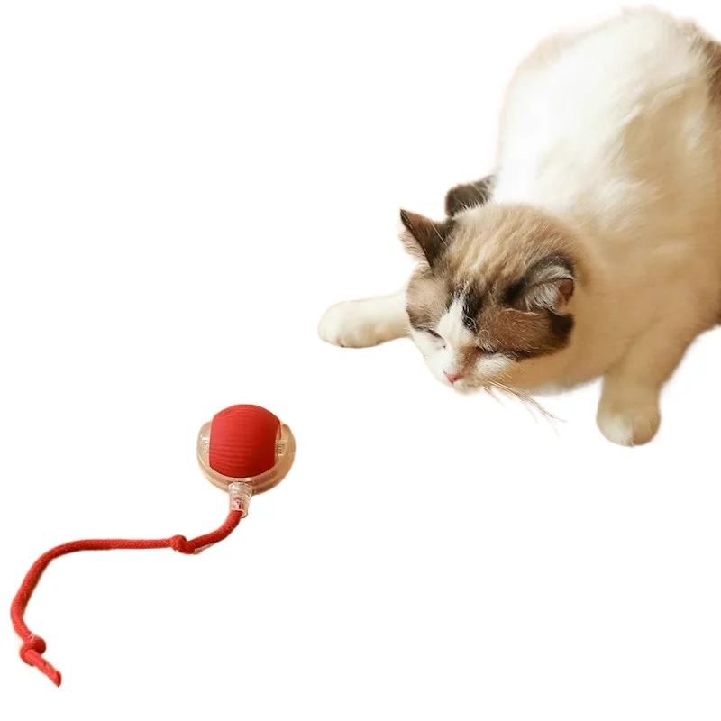 ​Interactive Electric Cat Toy Ball - Rechargeable Automatic Motion to Entertain Kittens, Reduce Boredom & Burn Energy