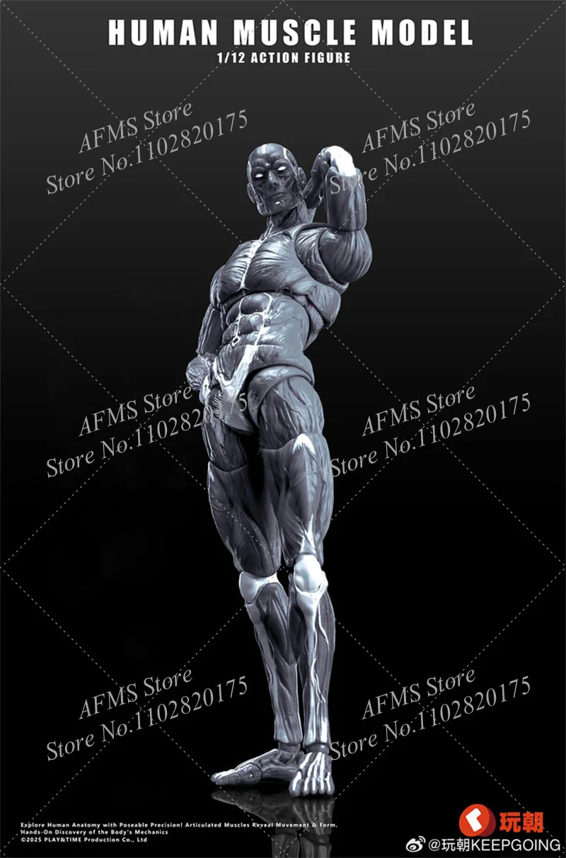 KEEPGOING Scala 1/12 Figura Da Collezione Modello Muscolare Umano 6 "Action Figure Soldato Modello di Scheletro Artista Medico Disegno Giocattoli