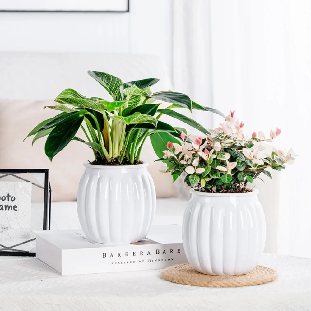 Nordic Style Hydroponic Flower Pot Transparent with Cotton Rope Water-Absorbing Flowerpot Plastic Durable