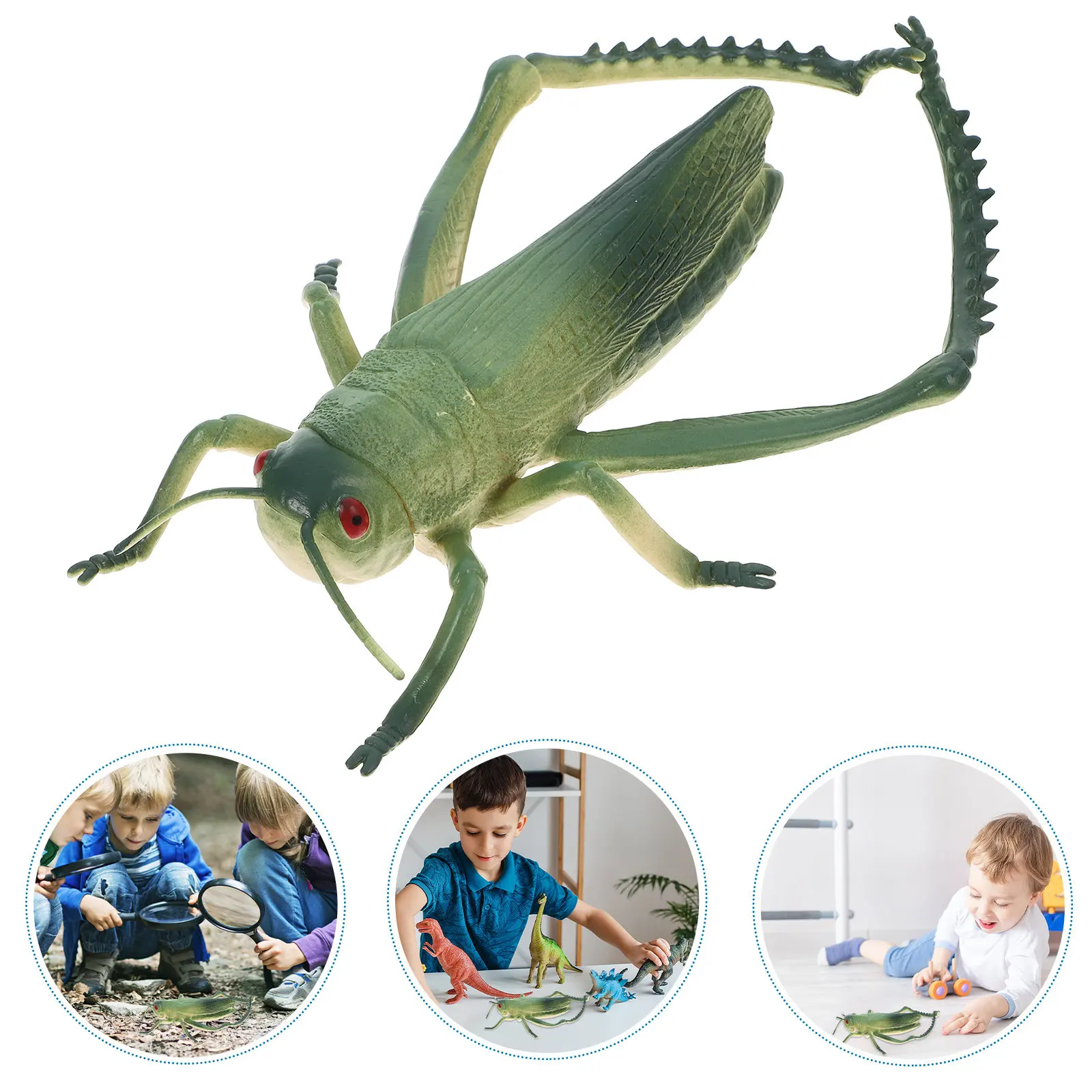 

Realistic Green Grasshopper Figure for Garden Yard Decoration Insect Themed Party Supplies Educational Kids Activity Outdoor
