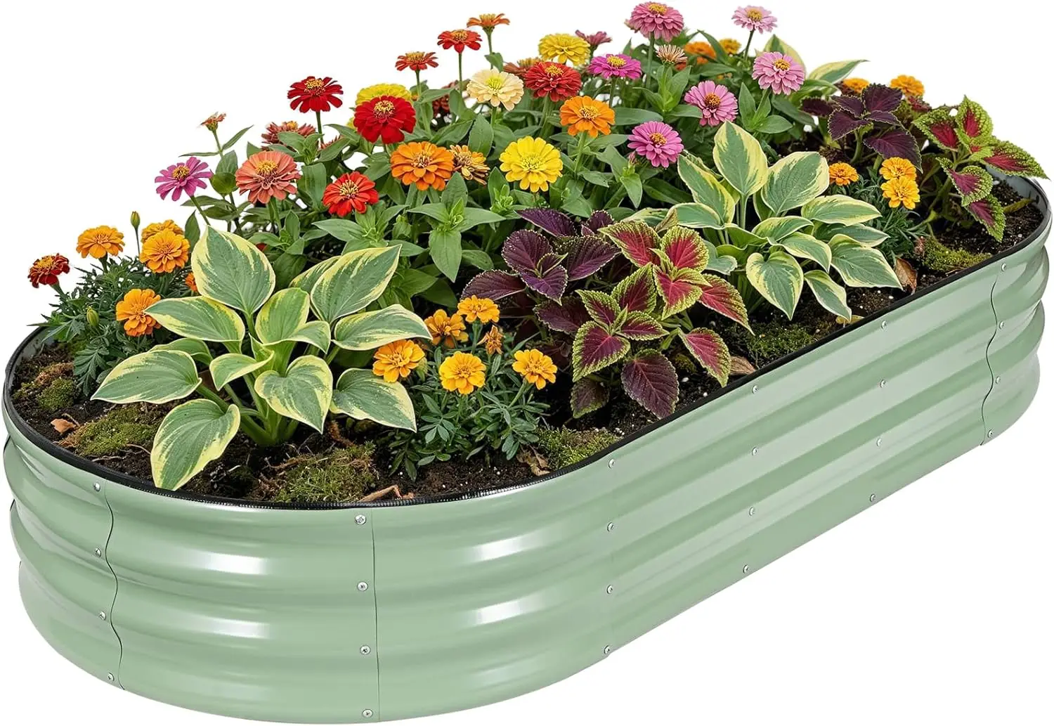 

Galvanized Raised Garden Beds Outdoor, 6x3x1ft Oval Metal Raised Beds for Gardening, Rust-Resistant Planter Box for Vegetables