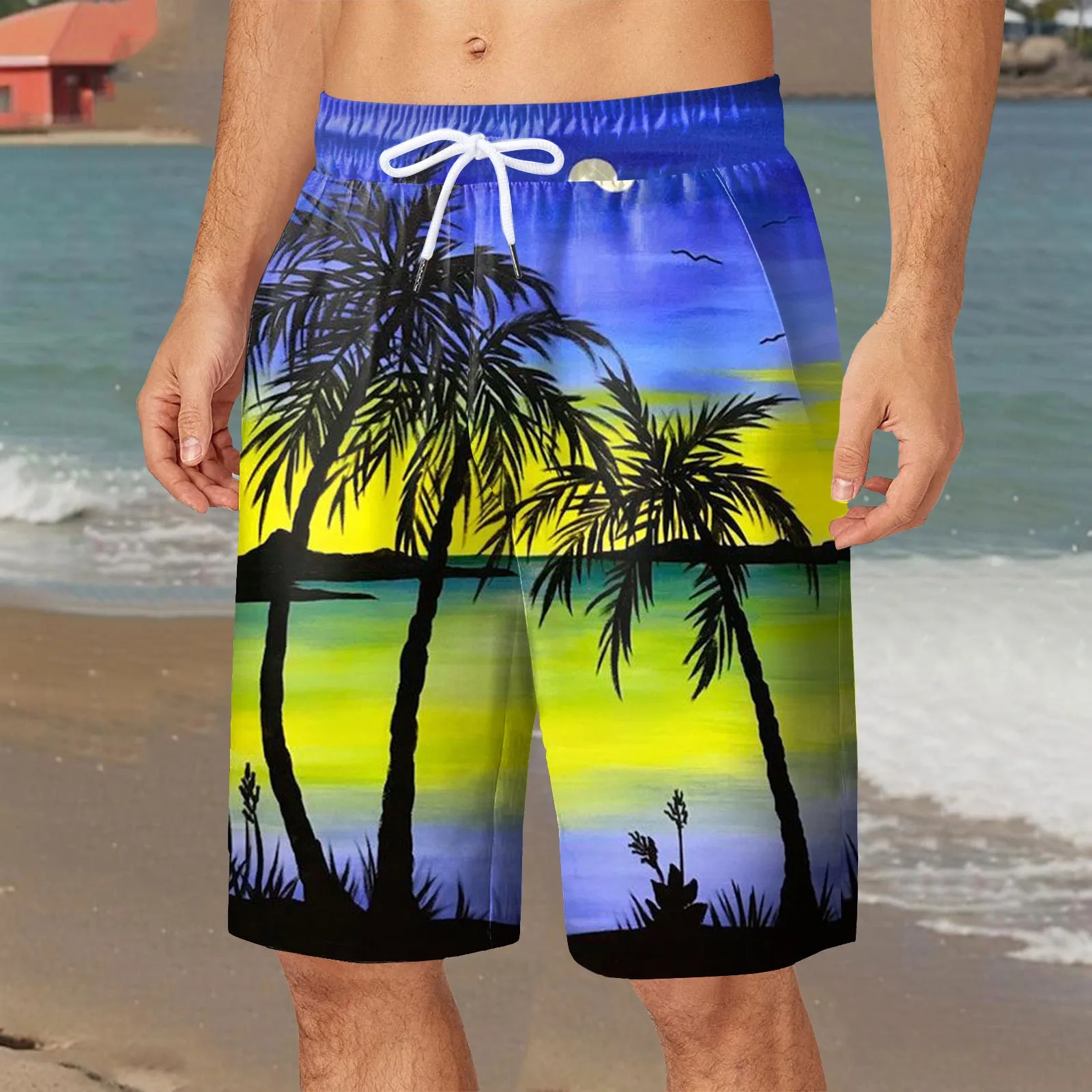 Hawaiian Style 3d Printed Summer Men'S Shorts Quick Dry Swimming Shorts Oversized Casual Beach Pants Fashion Trend Men Clothing