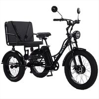 Fat Tire Electric Adult 3 Wheel Tricycle For 2 Person With Passenger Seat 750W 48V Electric Bike For Man Removable Battery