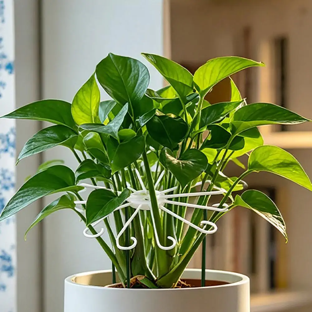 3Pcs/Set Plant Stem Holder Grapple Stem Support Reusable Monstera Clamp Support for Climbing Plants Leaves Stabilization Stems S