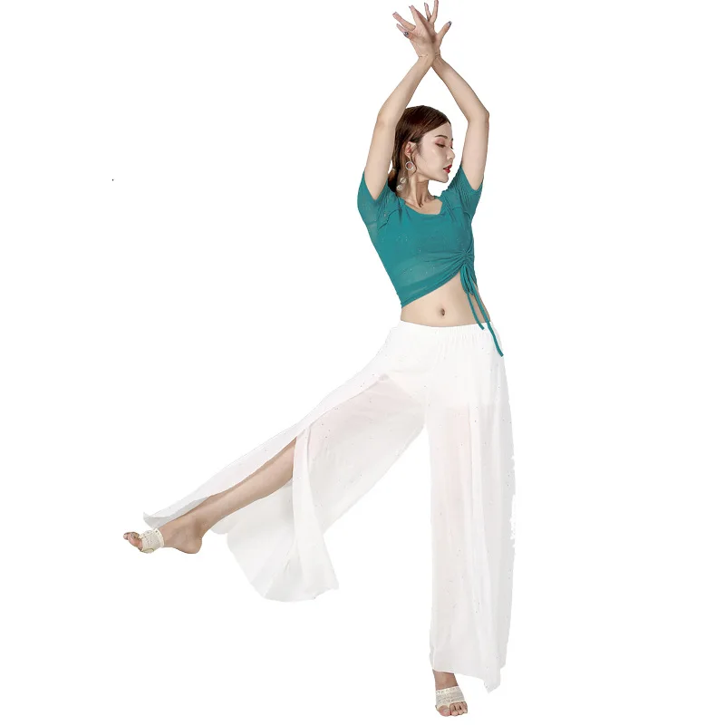 Traje de danza del vientre, pantalones de malla sexys, práctica de rendimiento, danza Oriental, abertura lateral, ropa para mujeres adultas, pantalones blancos