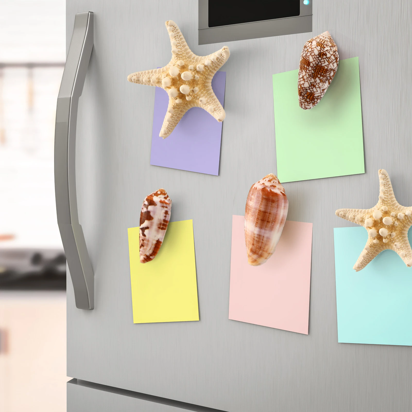 

7 pcs Shell Decorations Smooth Rounded Fridge Magnets Decals Refrigerator Crafts Magnetic No Mark Sticker Home Office