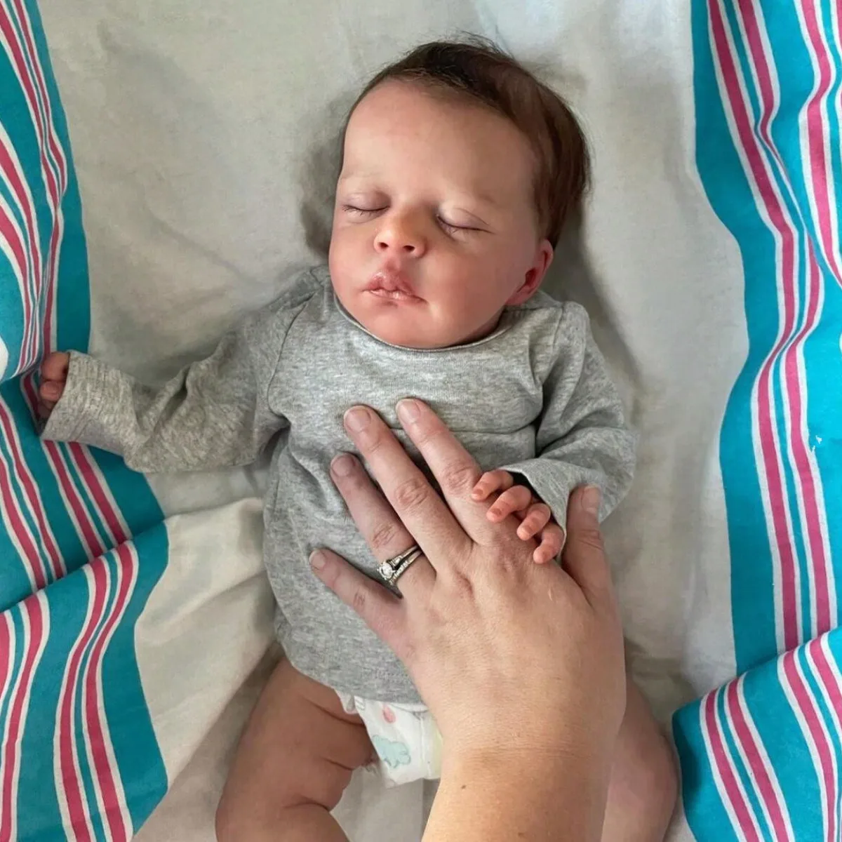 yZ[z50CM 3DyCgXL \tgrj[ {[h[ j̎q 20C` {̐QĂV xr[h[ ւt {fBA[ggC