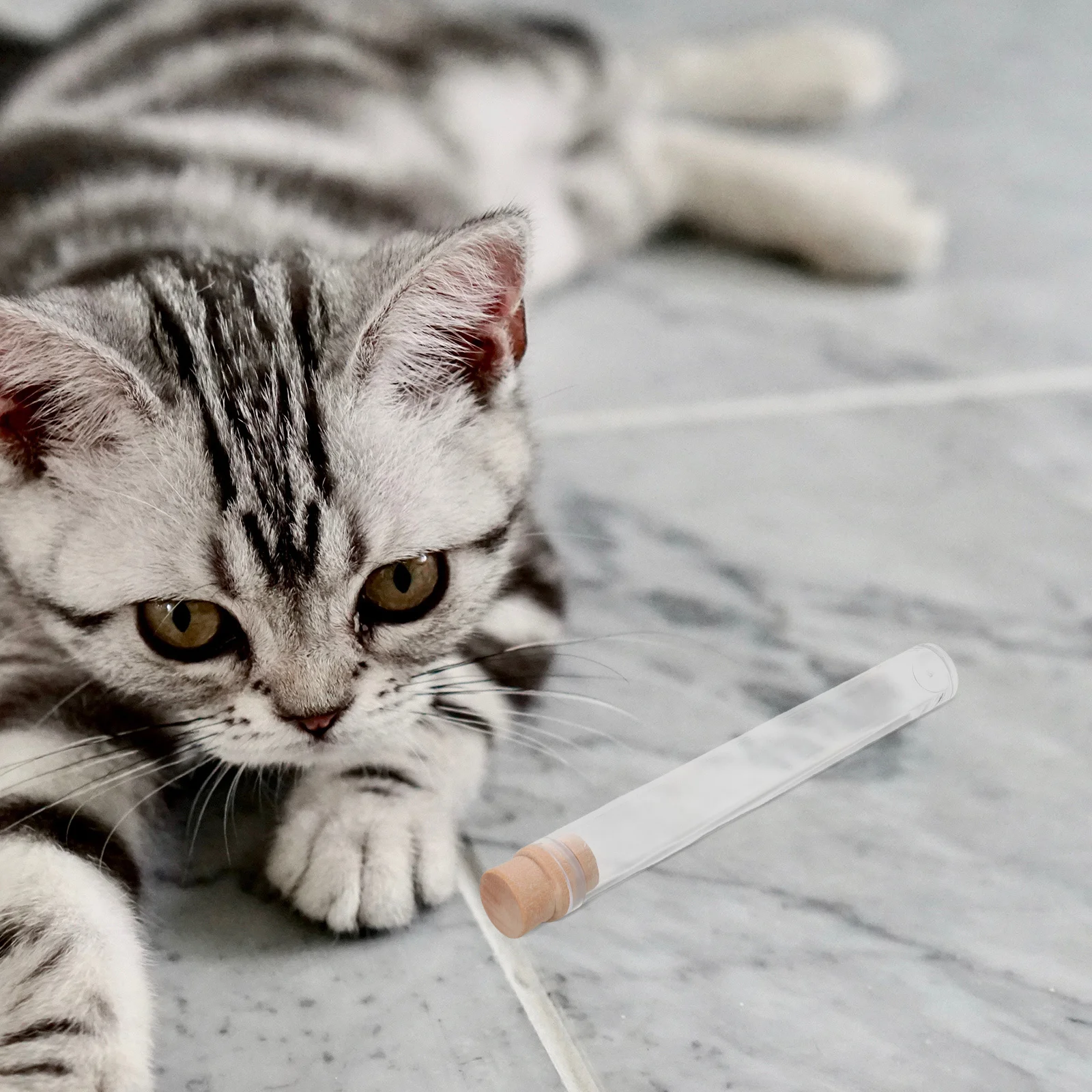 

2Pcs Pet Hair Keepsake Bottle Transparent Cat Whiskers Collection Jar Elegant Memory Storage for Dog Hair Memorial Airtight