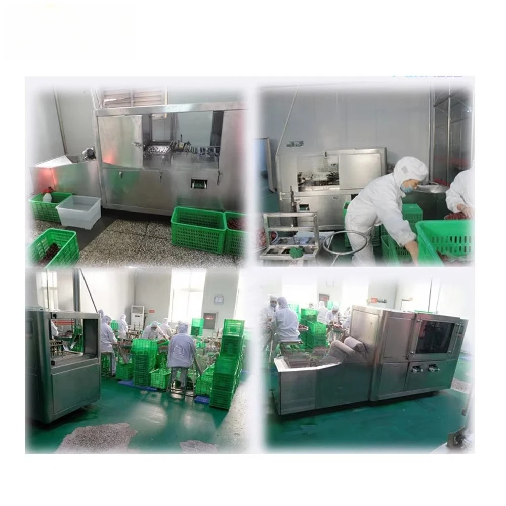 Obrázek 5: Čína vyrobené datle dlaň pitting machine/dates semen removing/dates pitting stroj cena