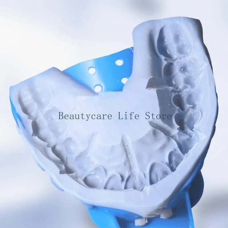 652C Convenient Dental for Impression Tray 10pcs Dentist Supplies Disposable Teeth Ho