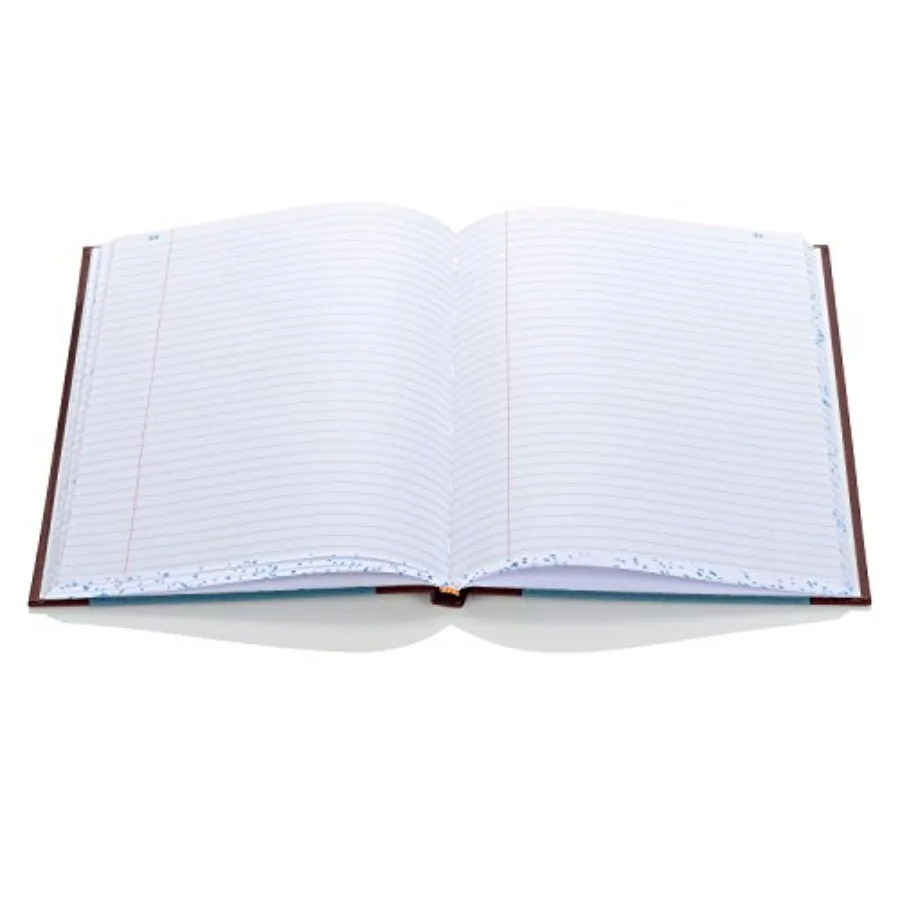 S300 ライン会計ジャーナル単一記録帳、財務記録と予算追跡用、サイズ11.75 x 7.25インチ