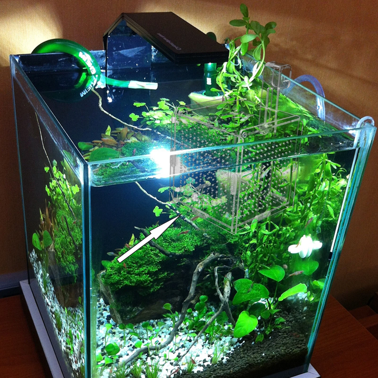 

Acrylic Fish Tank Isolation Box Betta Fry Hatching Boxes Breeding Holder Aquarium Storage Easy Clean Durable Practical