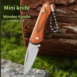 New Mini Stainless Steel Folding Knife Colorful Wood Portable Mini Keychain Unboxing and Opening Express Knife