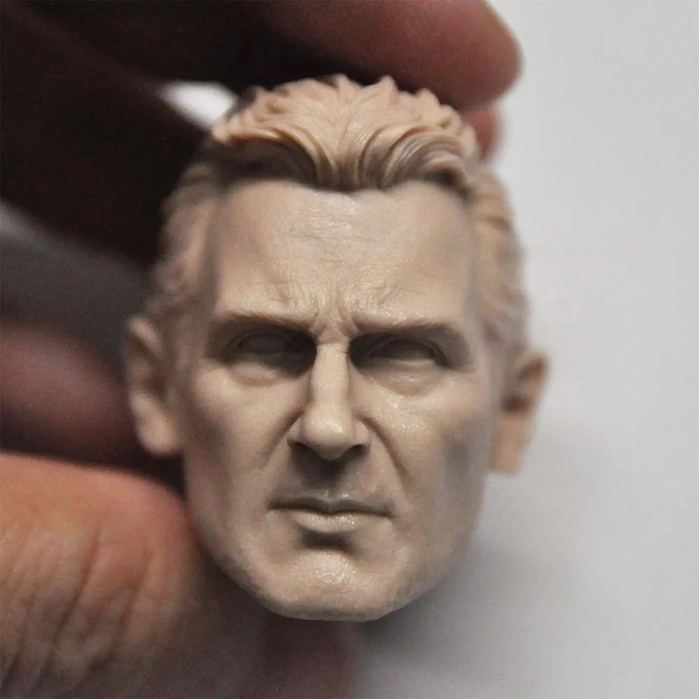 1/6 Die Cast Resin Picture Model Assembly Kit Liam Nissen Fine Head Carving (55mm) Unpainted Free shipping