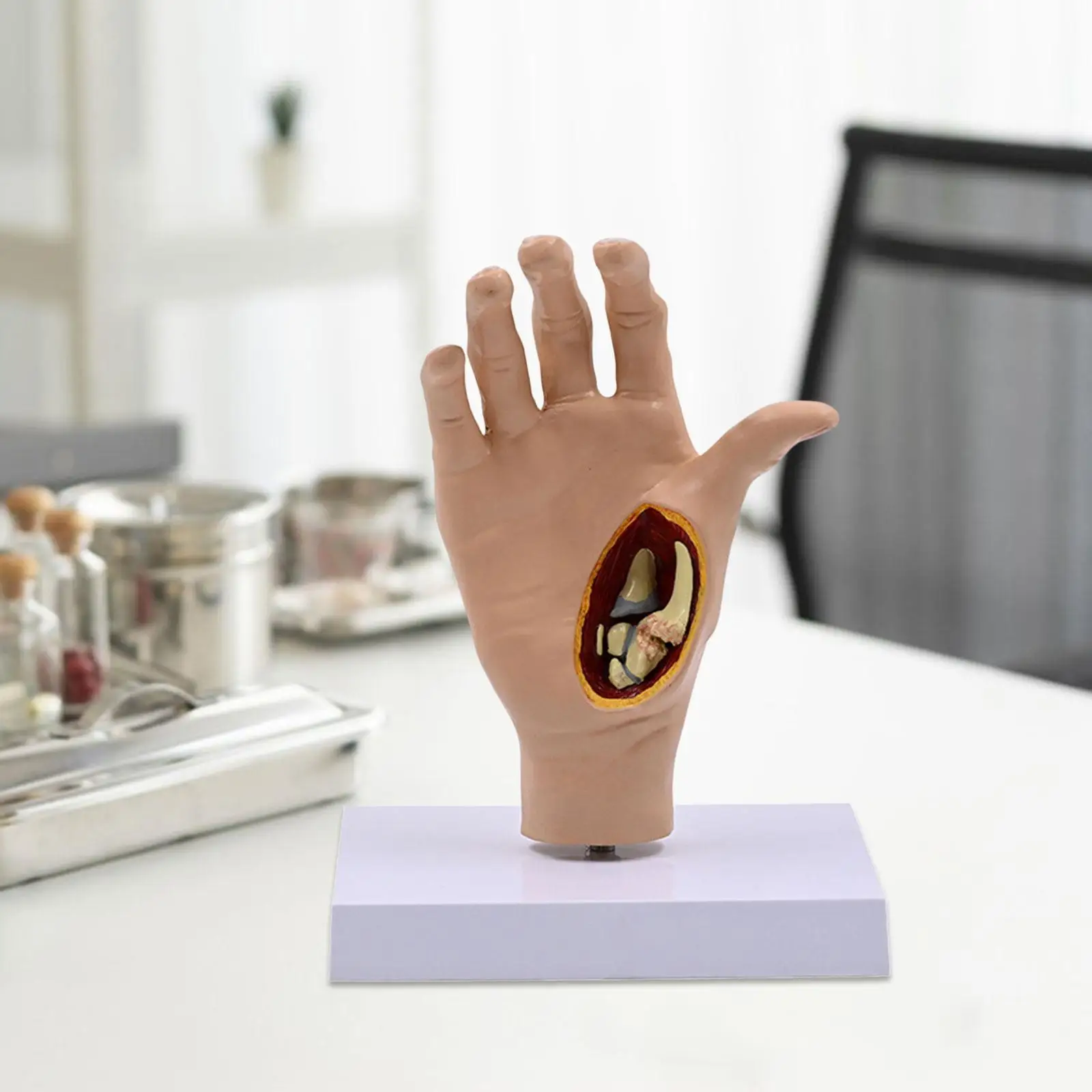 

Human Hand Model Skeleton Model 1:1 Educational Lightweight Medical Training Realistic Scientific for Display Science Study