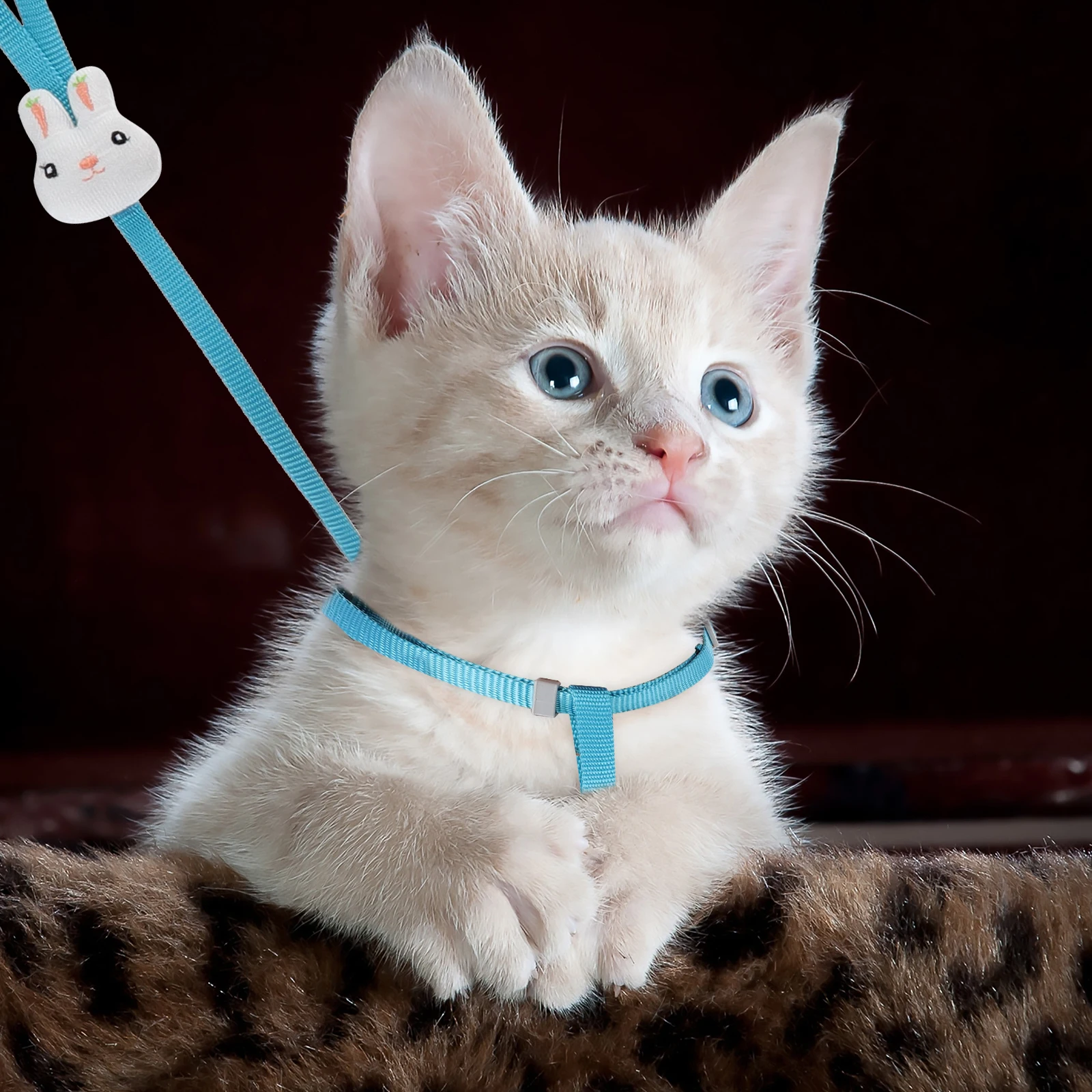 

Pet Vest Leash Cartoon Puppy Harness Durable Dog Vest Leash Outdoor Activity Walking Playing Breathable Wear-Resistant Pet