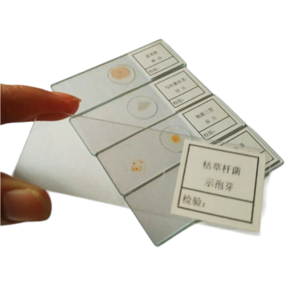 5Pcs Set Fluorescence Microscope Prepared Slides for Educational Teaching