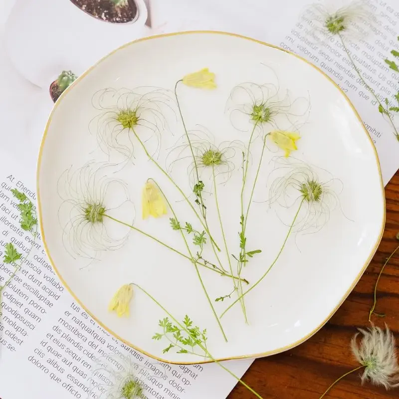 Nature Pulsatilla Flower Dry Flower Embossed Painting Sticker Fluffy Resin Epoxy Phone Case Party Gift Card Bookmark,610cm/24pcs