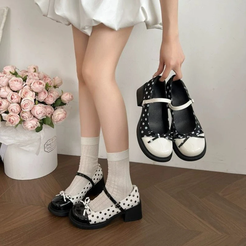 Women's Fashion Color Blocking Square Heel Mary Jane Shoes 2026 Spring and Summer New Korean Style Versatile Shallow Mouth Shoes
