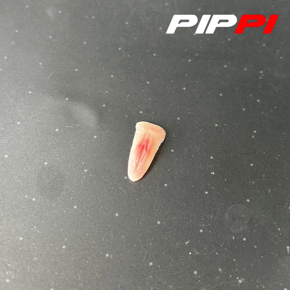 1/6 여성 업그레이드 생리학적 세부 정보가 포함된 젖꼭지 패치의 친밀한 부분 액세서리 맞춤 12" 군인 액션 피규어 바디