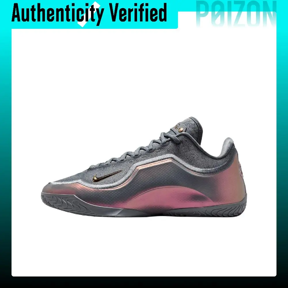 Nike Lebron 23 Low top Basketball Shoes Men's Cool Gray IH1514-002
