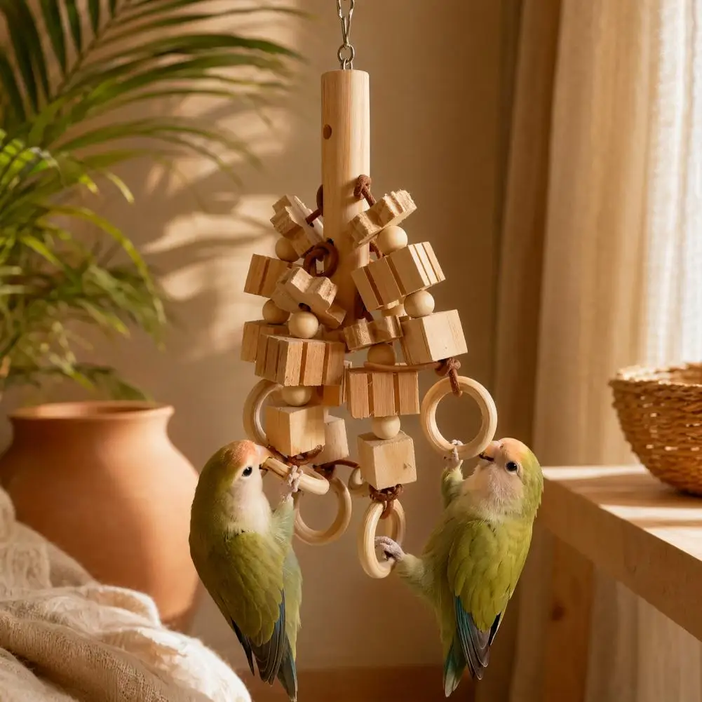Safe Parrot Toy Wood Blocks Parrot Chew Toy with Wooden Rings Hanging Bird Cage Accessory for Parakeet Conure Cockatiel view 2