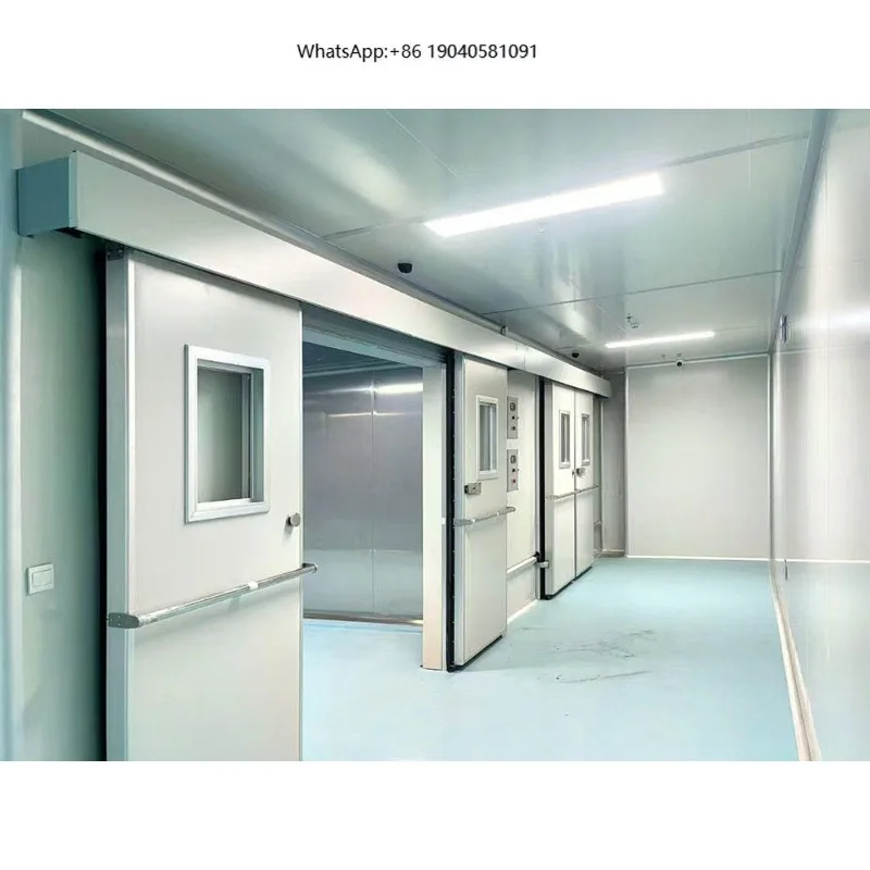 Large Polyurethane Insulation Air Cooled Cold Storage Freezer Blast Tunnel Container for Fruit Vegetable Preservation